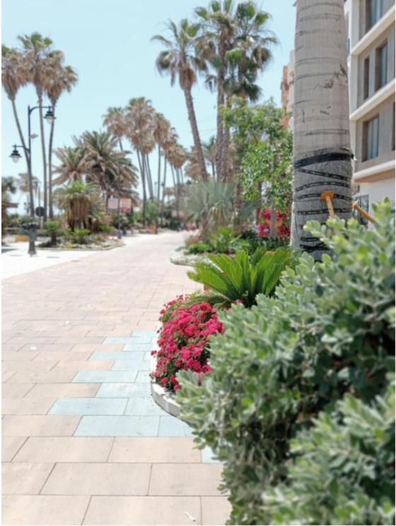 Beach Side Apartment -إِستيبونا المظهر الخارجي الصورة